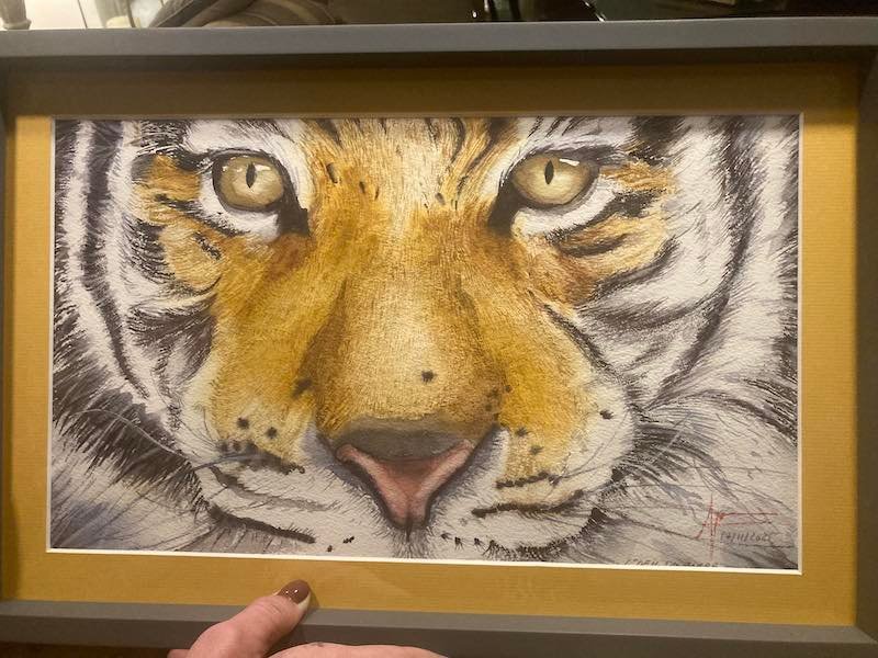 Aquarelle de Thomas Favier : L’oeil di-u tigre…